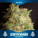 Zamnesia Sour Diesel