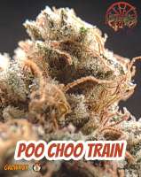 Amish Warrior Seeds Poo Choo Train - photo made by 420meowmeowmeow