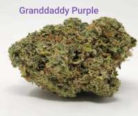 Picture from TheHappyChameleon (Granddaddy Purple)