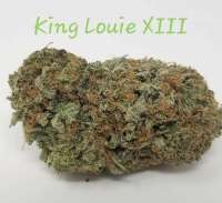 Picture from TheHappyChameleon (King Louis XIII)