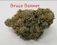 Picture from TheHappyChameleon (Bruce Banner)