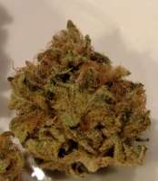 Picture from RedAlert (Blue Kush)