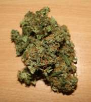 Picture from raPster (Power Skunk)