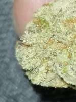 Picture from BudBro (TrainWreck)