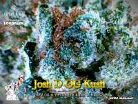 Karma Genetics Josh D OG - photo made by Justin108