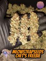 Meows Trap Seeds Chets Freebie - photo made by 420meowmeowmeow