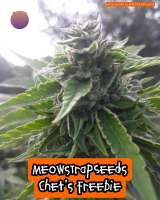 Meows Trap Seeds Chets Freebie - photo made by 420meowmeowmeow