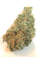 Picture from Cochino (Island Sweet Skunk)