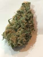 Picture from Cochino (Island Sweet Skunk)