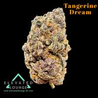 Plantamaster Seeds Tangerine Dream - photo made by ElevatedLoungeDC