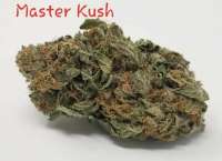 Spliff Seeds Master Kush - photo made by TheHappyChameleon