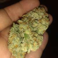 Picture from Jddub (MeatBreath)