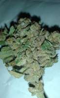 Picture from wasgedn (Sour Diesel)