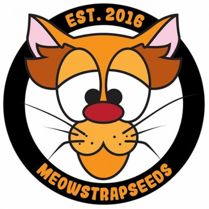 Meowstrapseeds