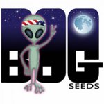 Logo B.O.G. Seeds