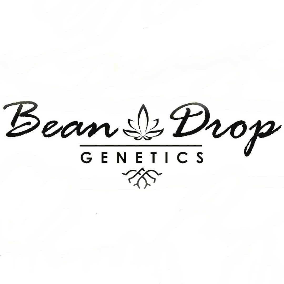 Logo Bean Drop Genetics