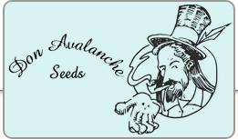 Logo Don Avalanche Seeds