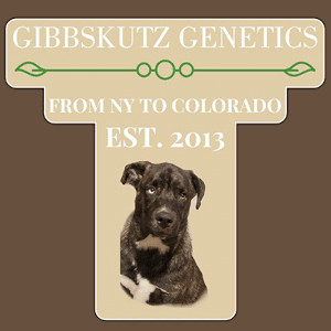 Logo GibbsKutz Genetics