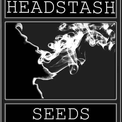Logo Headstash Seeds