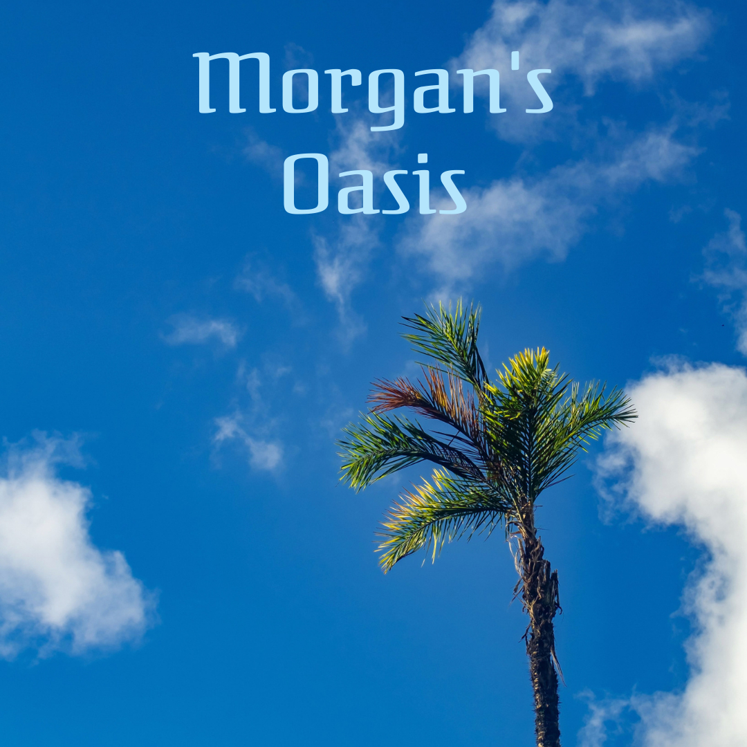 Logo Morgansoasis