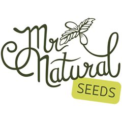Logo Mr. Natural Seeds