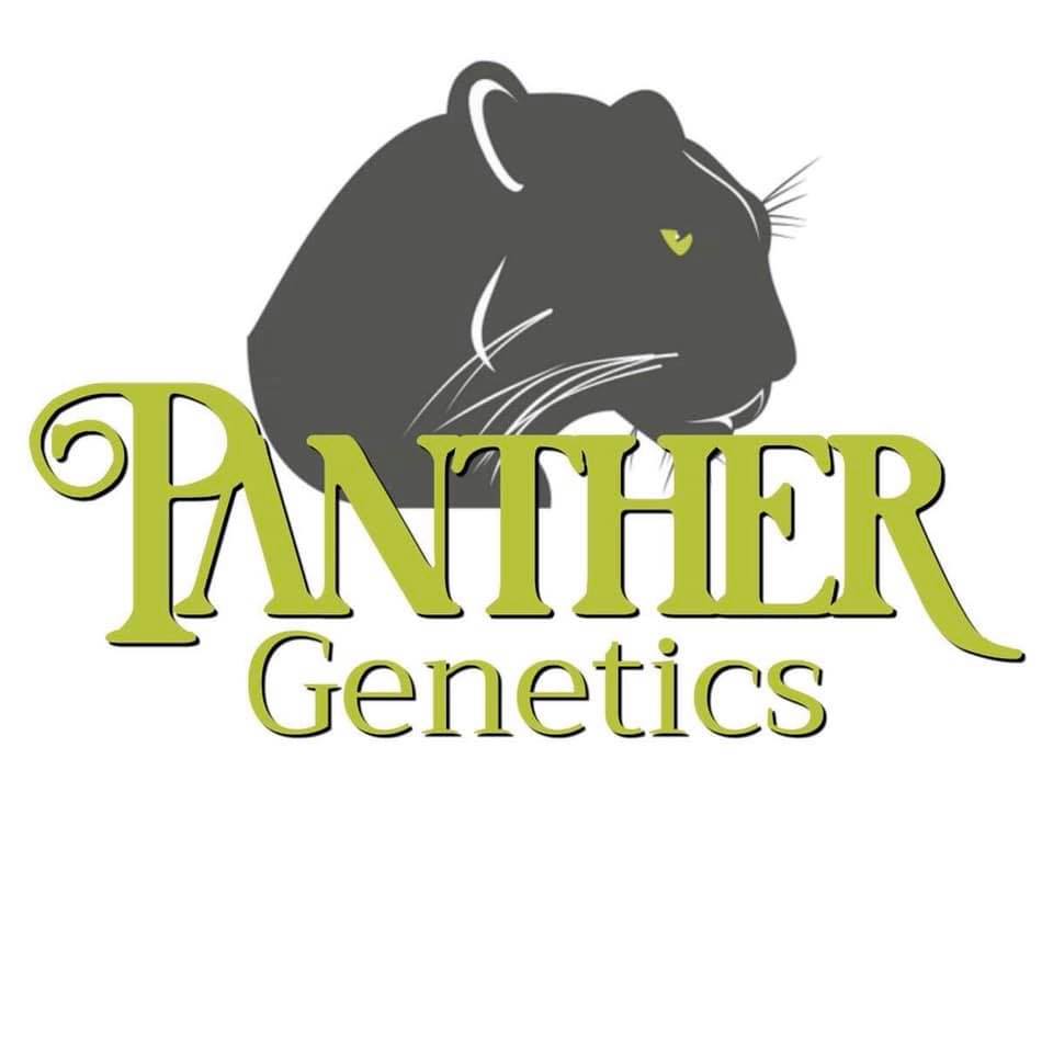 Logo Panther Genetics