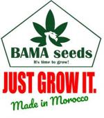 Logo BAMA Seeds