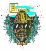 Logo Breaking Buds Seeds