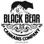 Logo Black Bear Cannabis Company