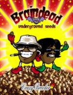Logo Underground Seeds Collective