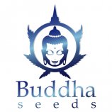 Buddha Seeds Logo
