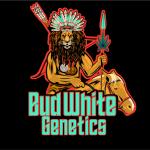 Logo Bud White Genetics