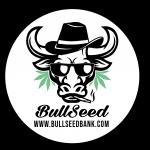 Logo Bullseed Argentina