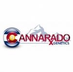 Logo Cannarado Genetics