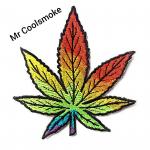 Logo Mr Coolsmoke