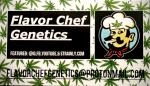 Logo Flavor Chef Genetics