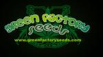 Logo Green Factory Seeds