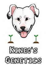 Logo Kineos Genetics