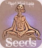 Burkle seeds