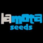 Logo LaMota Seeds