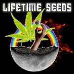 Logo Lifetime Seeds