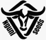 Logo Nguni Seeds