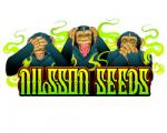 Logo Nilsson Seeds