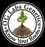 Logo OG Labs