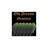 Logo Old Dreams Genetics