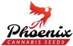 Phoenix og seeds