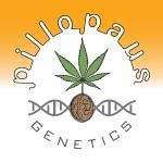 Logo Pillopaus Genetics