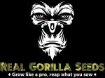 Logo Real Gorilla Seeds