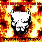 Logo Reservoir Seeds