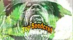 Logo Top Seedcret